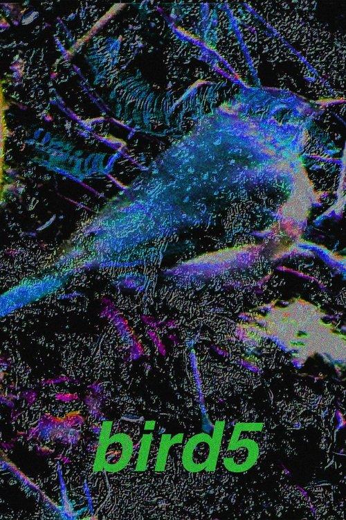 bird5.mp4 film afişi
