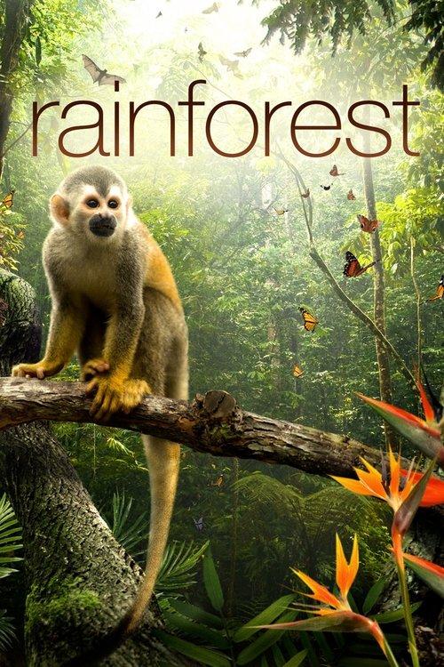 Secret Life of the Rainforest film afişi