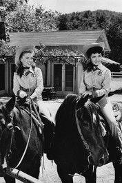 The New Adventures of Spin and Marty Sezon 1