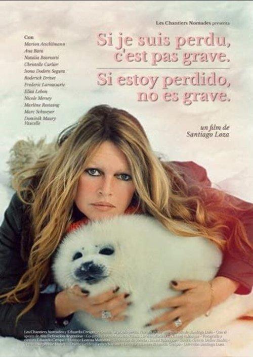 It’s Alright If I’m Lost film afişi