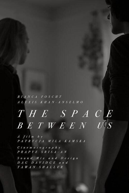 The Space Between Us film afişi