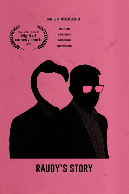 Raudy's Story film afişi