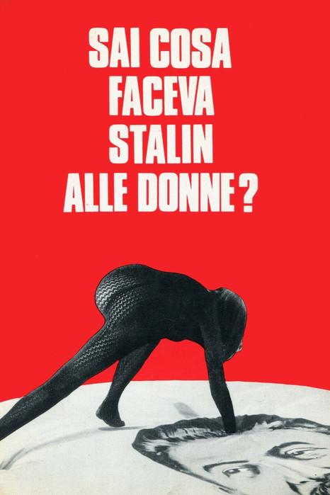 What Did Stalin Do to Women? film afişi
