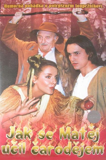 Jak se Matěj učil čarodějem film afişi