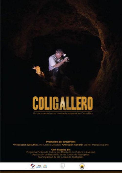 Coligallero film afişi