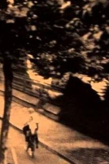 Enschede film afişi