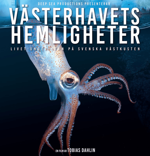 Västerhavets Hemligheter logo
