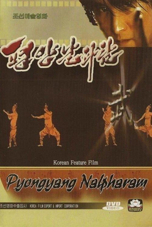 Pyongyang Nalpharam film afişi