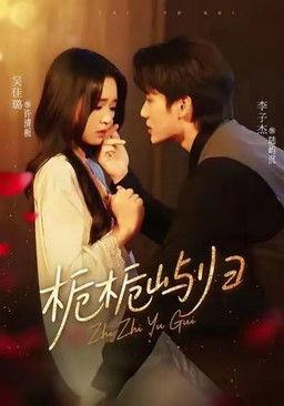 栀栀屿归 dizi afişi