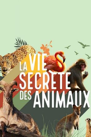 La vie secrète des animaux Sezon 1