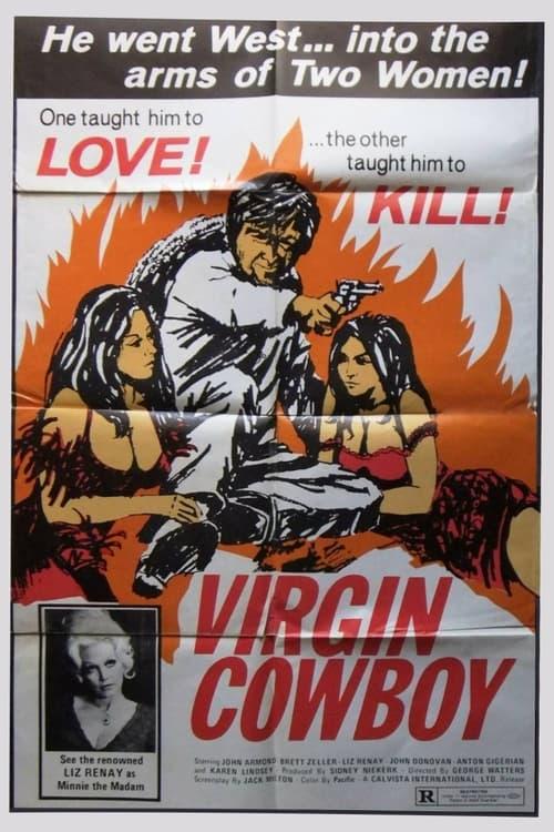 Virgin Cowboy film afişi