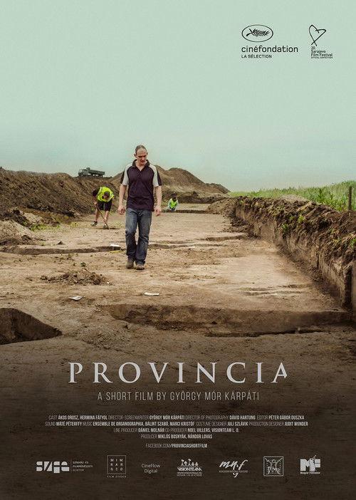 Provincia film afişi