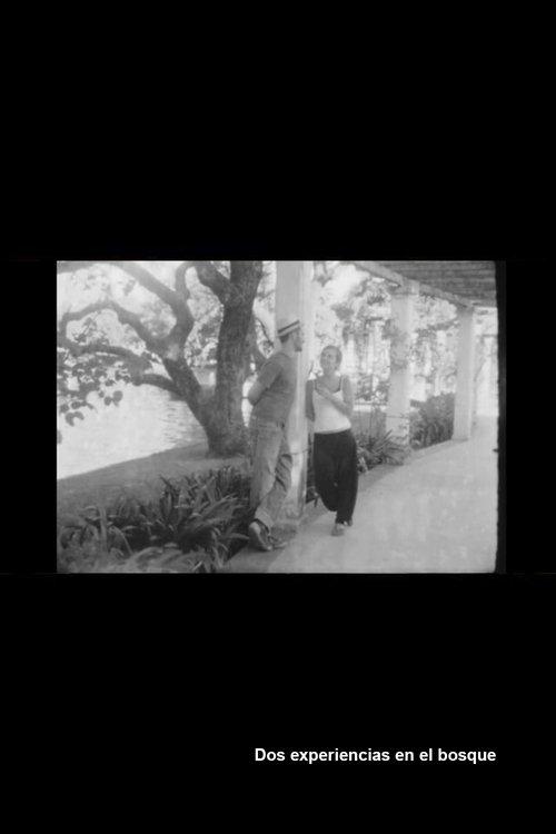 Dos experiencias en el bosque film afişi