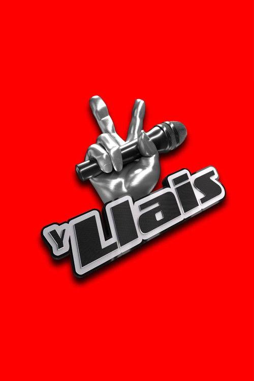 The Voice dizi afişi