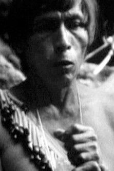 Shuar - Volk der heiligen Wasserfälle film afişi