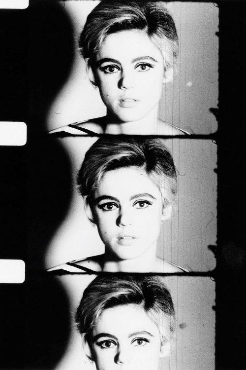 Screen Test: Edie Sedgwick film afişi