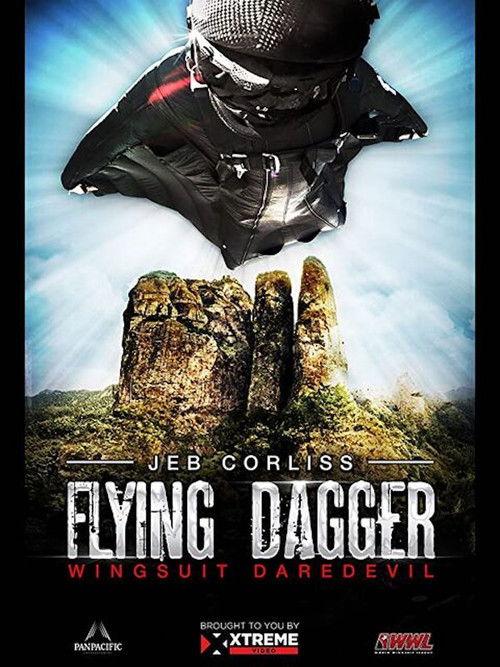 Flying Dagger film afişi