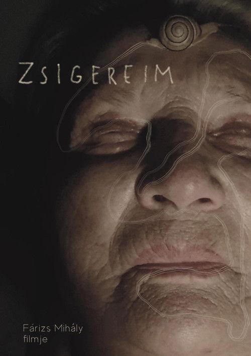 Zsigereim film afişi