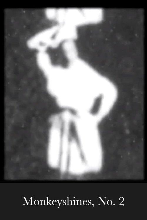Monkeyshines, No. 2 film afişi