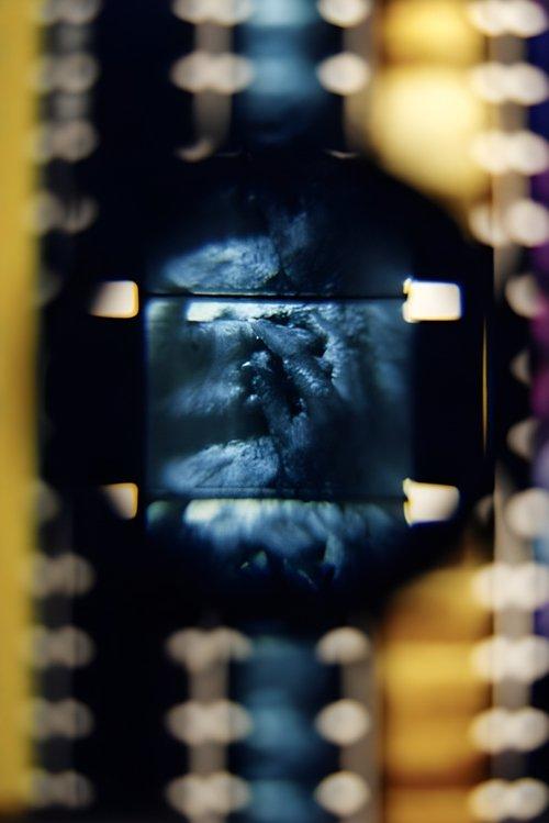 Hardwood Process film afişi