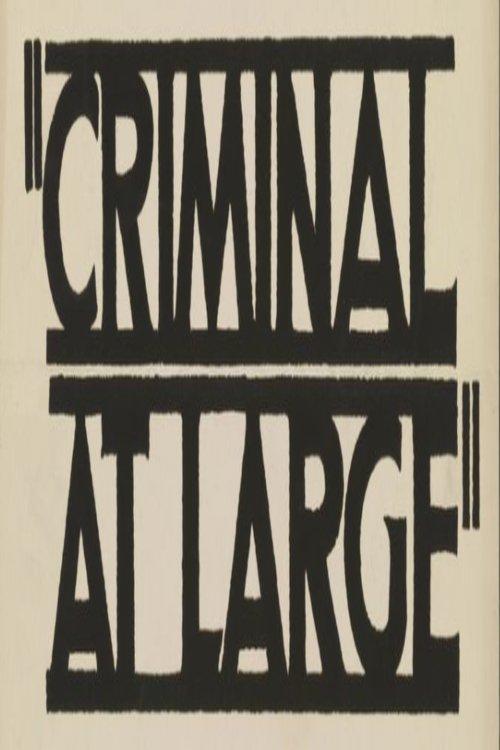 A Criminal at Large film afişi