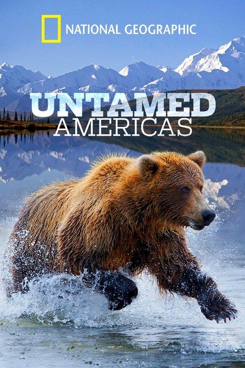 Untamed Americas dizi afişi