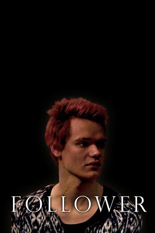 Follower film afişi