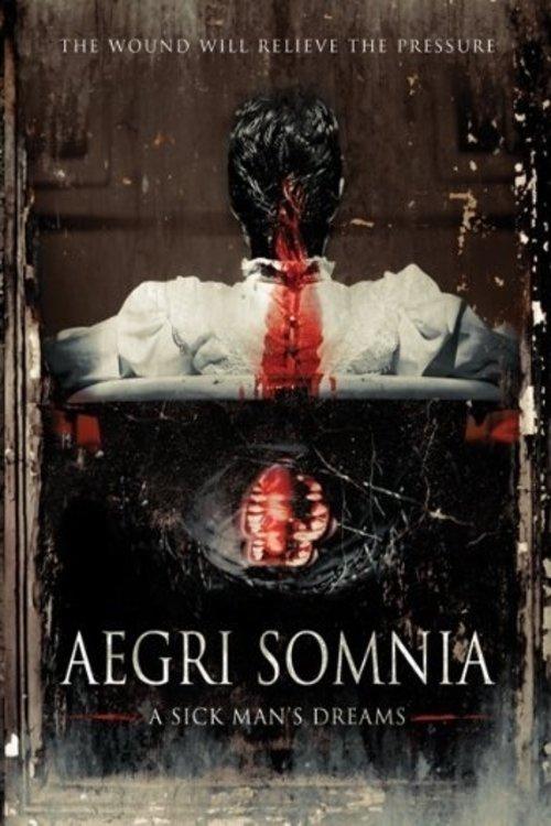 Aegri Somnia film afişi