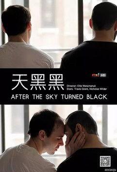 After the Sky Turned Black film afişi