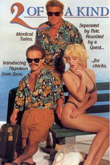 2 of a Kind film afişi