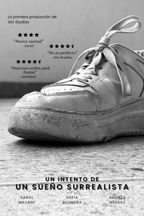 An Attempt at a Surrealistic Dream film afişi