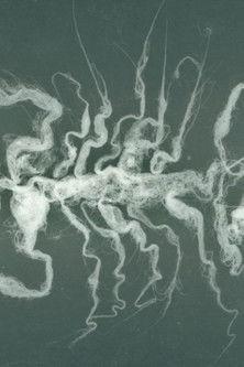 Ci sono gli spiriti film afişi