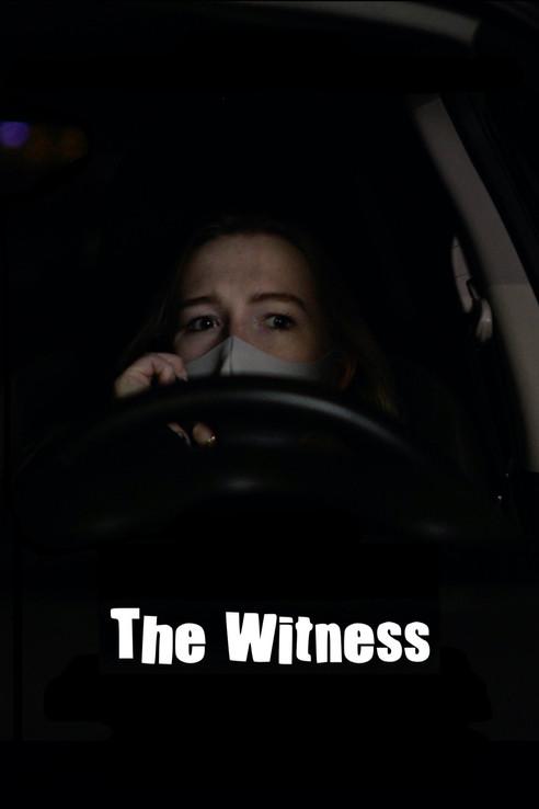 The Witness film afişi
