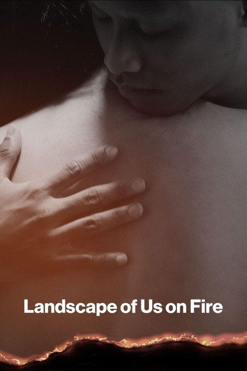Landscape of Us on fire film afişi