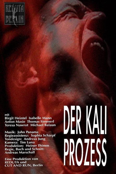 Der Kali Prozess film afişi