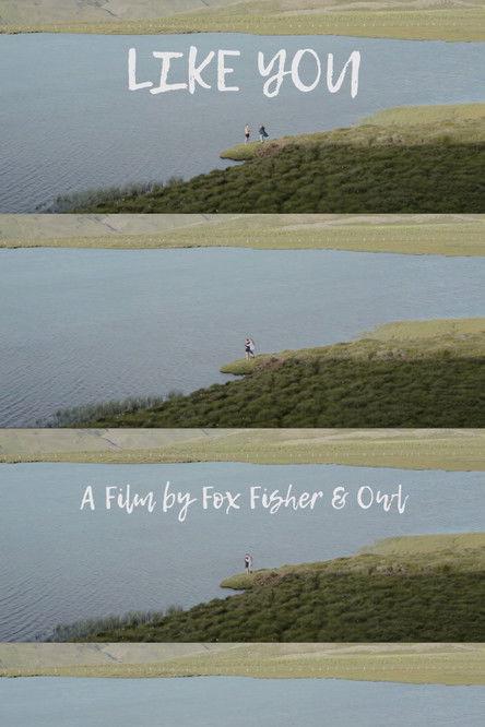 Like You film afişi