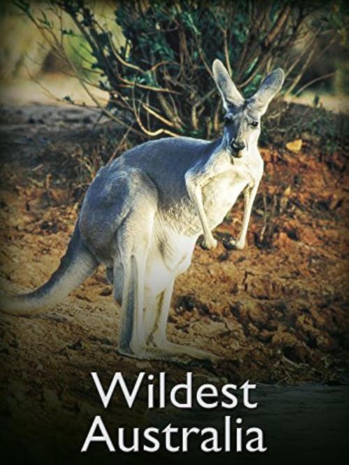 Wildest Australia film afişi