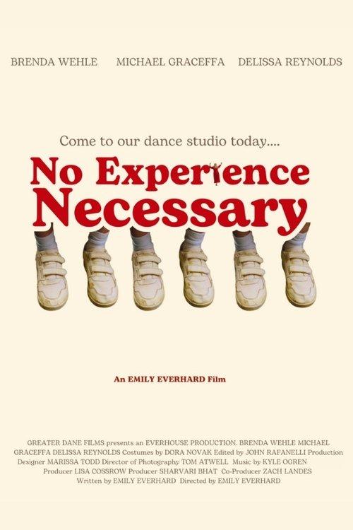 No Experience Necessary film afişi