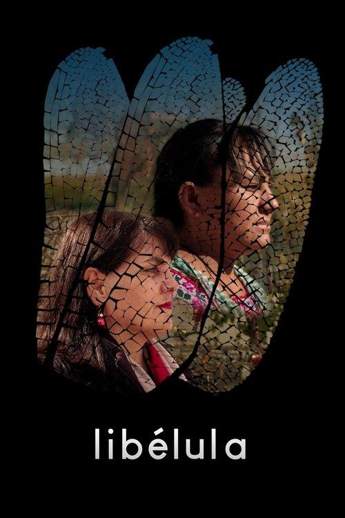 Dragonfly film afişi