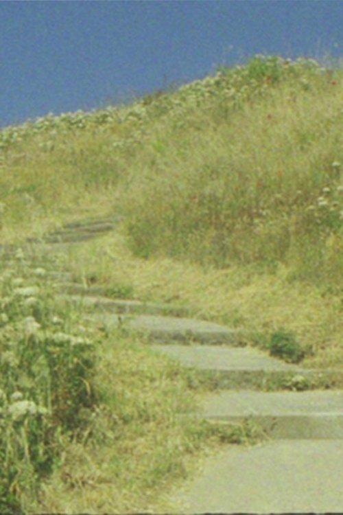 The seagull... and the glory of God film afişi