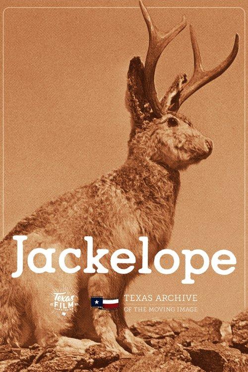 Jackelope film afişi
