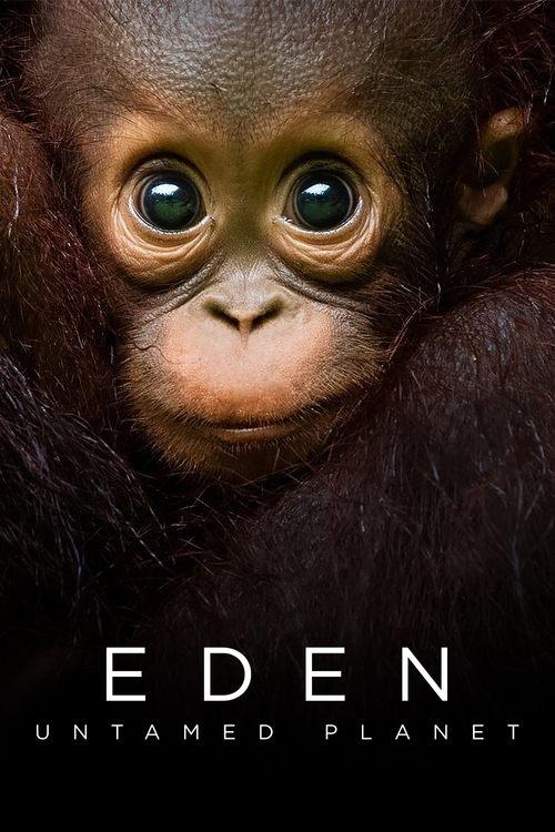 Eden: Untamed Planet dizi afişi