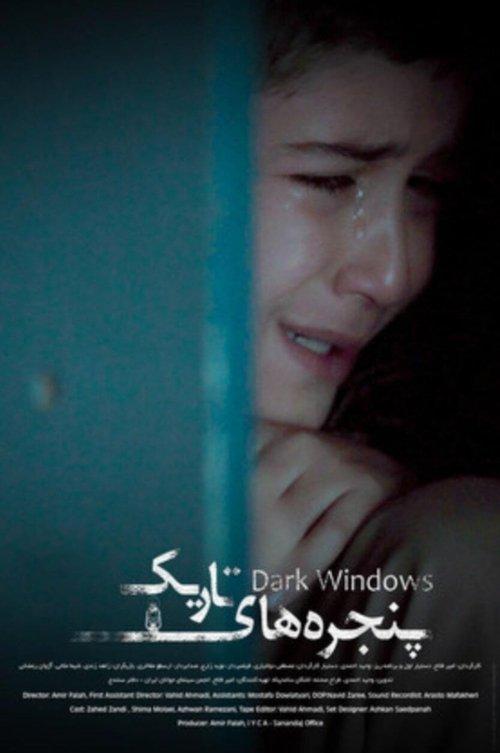 Dark Windows film afişi