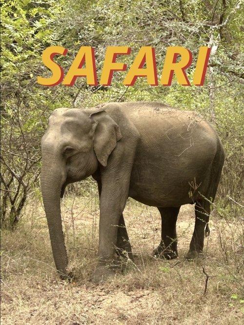 Safari film afişi