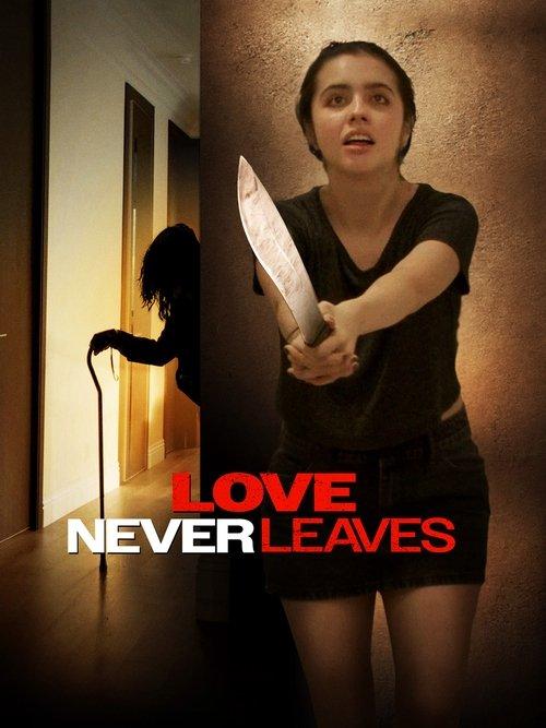 Love Never Leaves film afişi