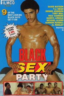 Black Sex Party film afişi