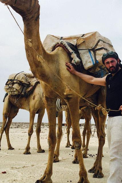 De smaak van Joël dizi afişi