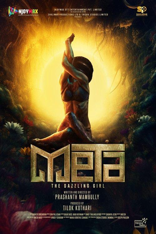 Meta: The Dazzling Girl film afişi
