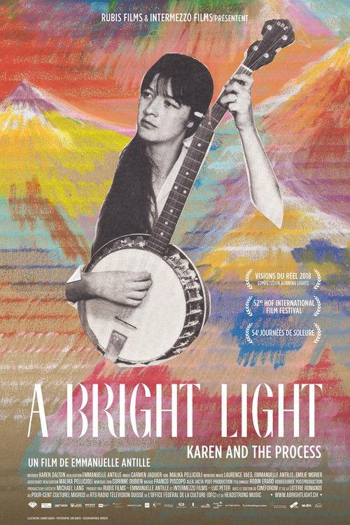 A Bright Light: Karen and the Process film afişi
