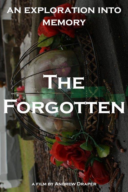 The Forgotten film afişi